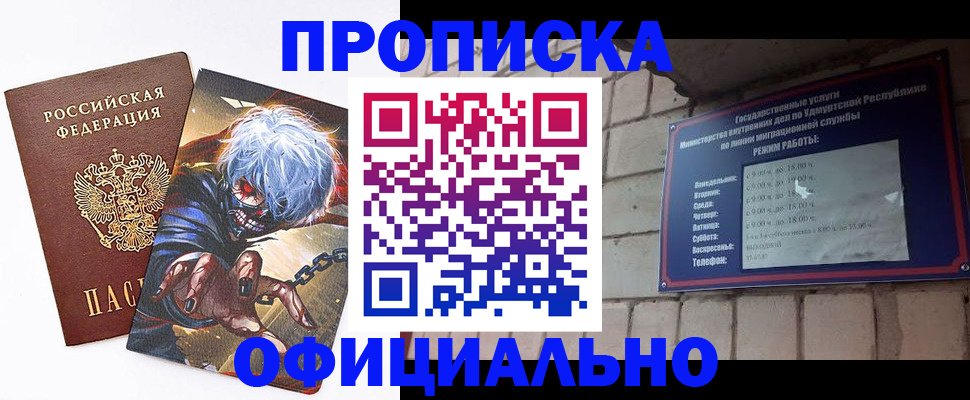 прописка для школы в Кольчугино